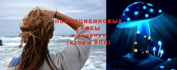 марки nbome Богданович